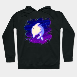 Galaxy Dolphin Hoodie